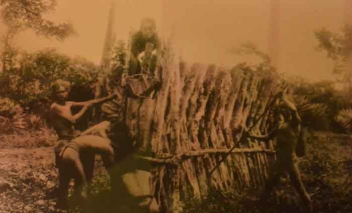 Di dân khai hoang Sài Gòn